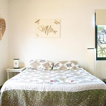 ホテル Posada Biarritz カネローネス エクステリア 写真