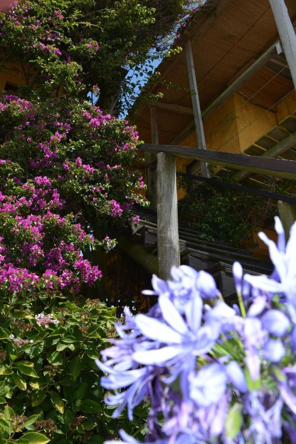 ホテル Posada Biarritz カネローネス エクステリア 写真