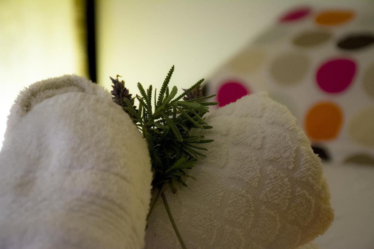 ホテル Posada Biarritz カネローネス エクステリア 写真